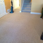 carpet patch 1a