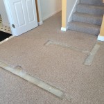 carpet patch 1b