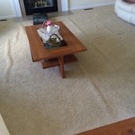 carpet stretch 1b