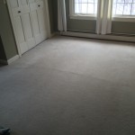 carpet stretch 2a